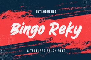 Bingo Reky