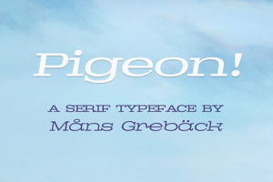 Pigeon