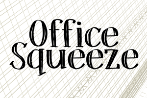DK Office Squeeze