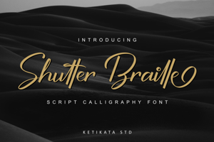 Shutter Braille