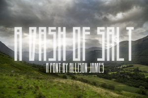 A Dash of Salt