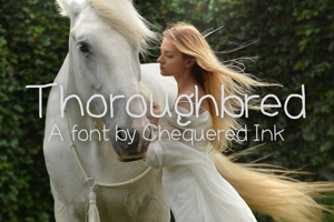 Thoroughbred
