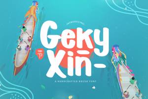 Geky Xin
