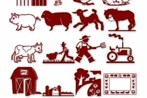 LCR On the Farm