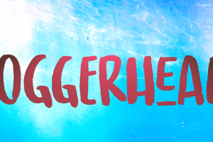 Loggerhead