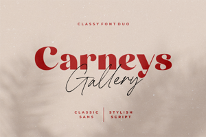 Carneys Gallery Script