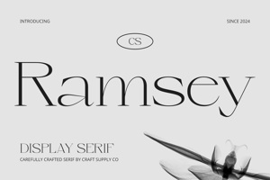 CS Ramsey