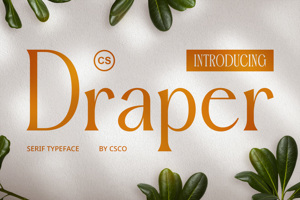 CS Draper