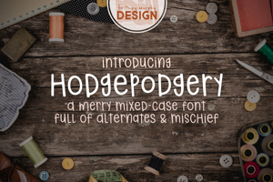 hodgepodgery