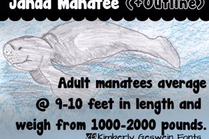 Janda Manatee