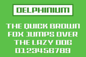 Delphinium
