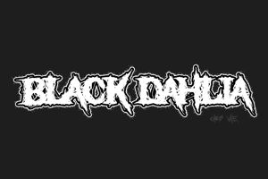 Black Dahlia