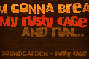 DK Rusty Cage